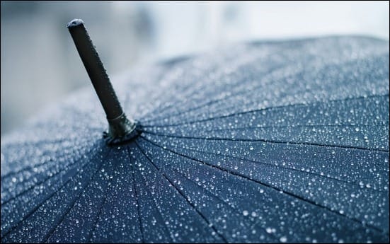 brollie